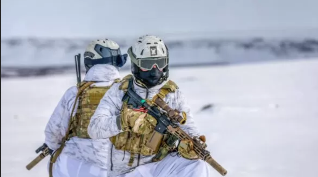 Avrupa ülkeleri, ABD'ye karşı Grönland'a asker yığıyor