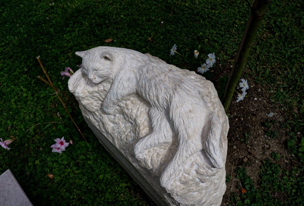 Ölen kedisi için yas iznine ayrılan çalışanı kovan işyerine tazminat şoku!