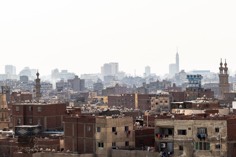 Ev yiyen böcekler ülkeyi istila etti! Aynı türden Türkiye'de var