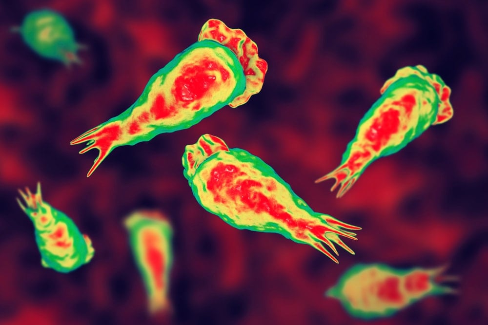 Acil uyarı geldi! Su altyapılarında 'Truva Atı' tehlikesi: Klora bile dayanıyorlar...