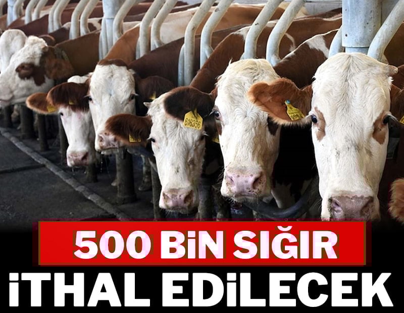 Zam üstüne zam ithalata devam