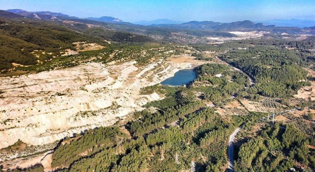 LİMAK ağacları kese kese buyuyor