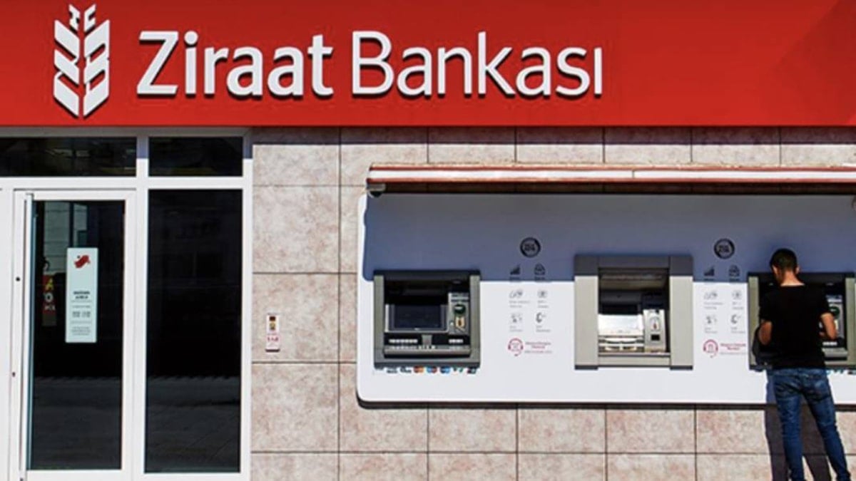 Vatandaşa aslan, Demirören’e kedi