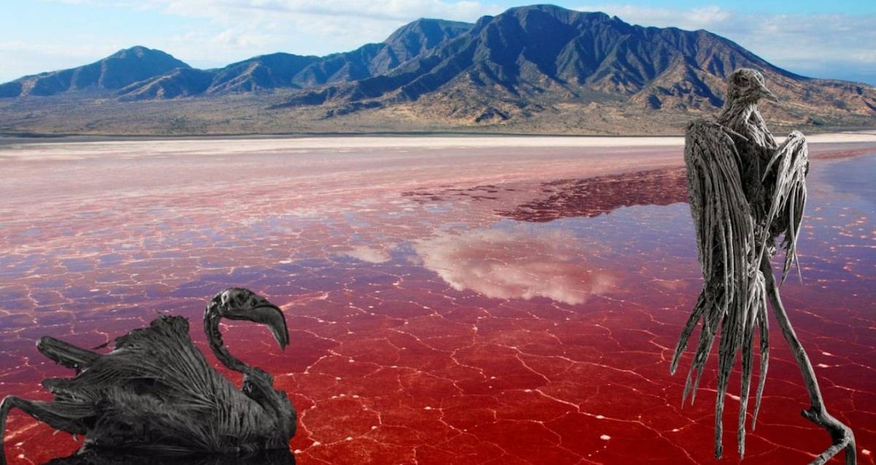 World’s Most Dangerous Place: Turns to Stone on Contact World’s Most Dangerous Place: Turns to Stone on Contact