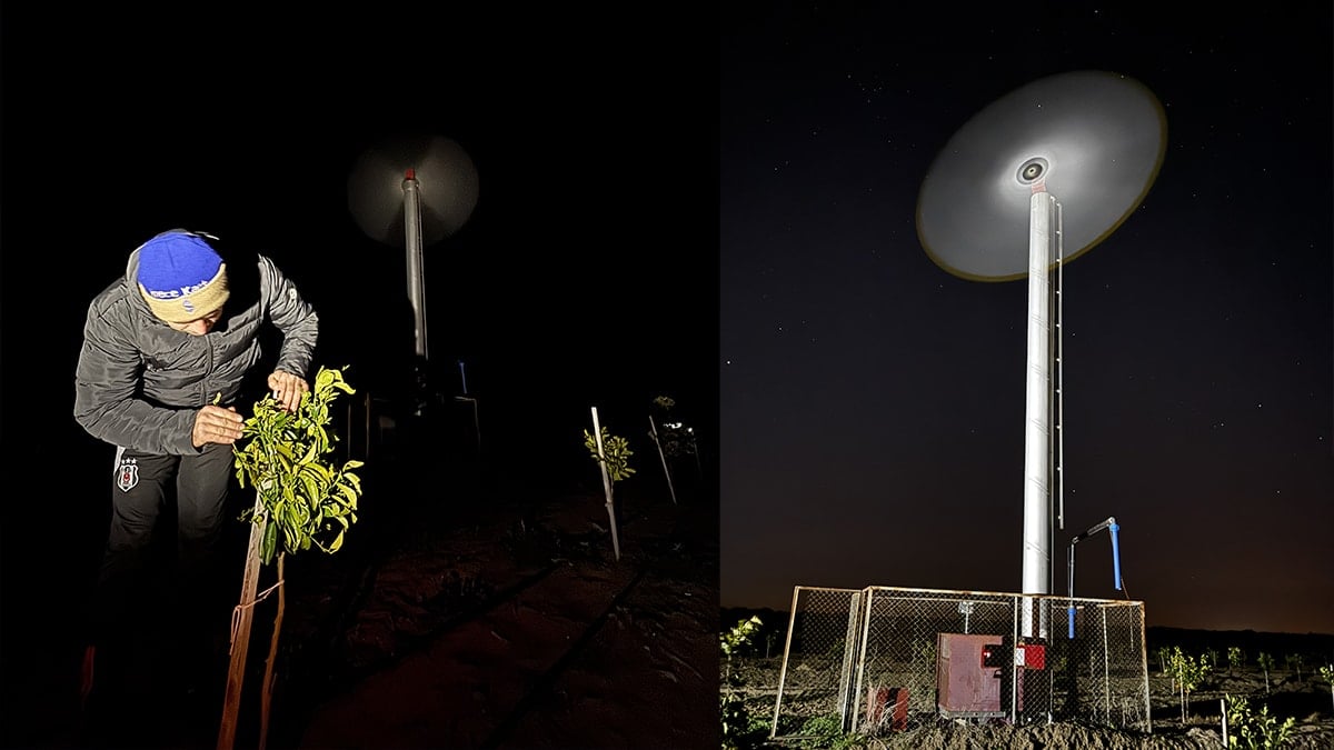 Tarlalara pervane kurup başında nöbete başladılar