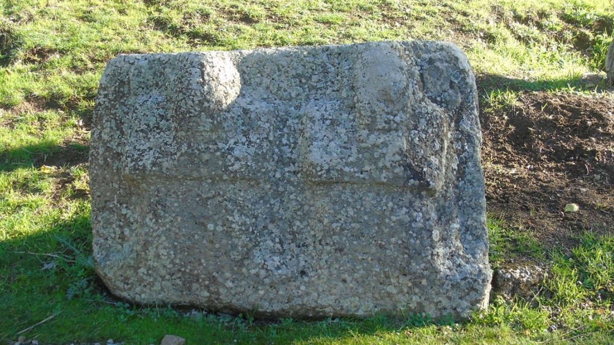 Yakın Doğu'nun en büyüğü o ilçemizde: Binlerce kişi akın ediyor
