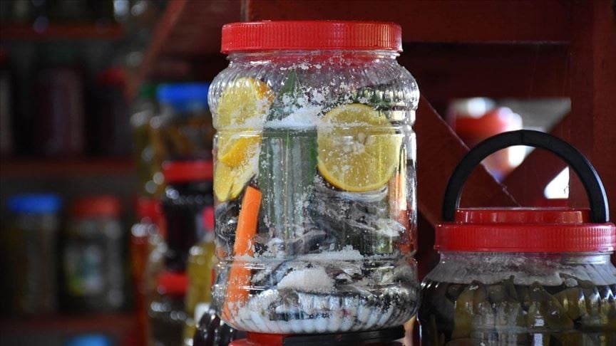 Bidonlara doldurulan hamsiler bin 500 liradan kapış kapış satılıyor