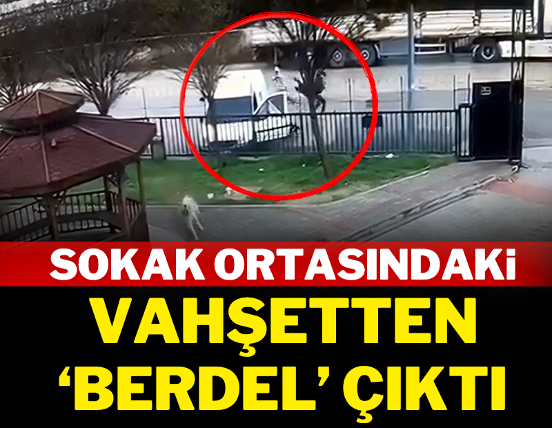 Sokak ortasındaki vahşetten 'berdel' çıktı!