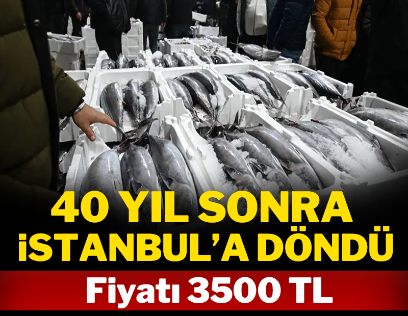 40 yıl sonra İstanbul'a döndü: Fiyatı 3500 TL