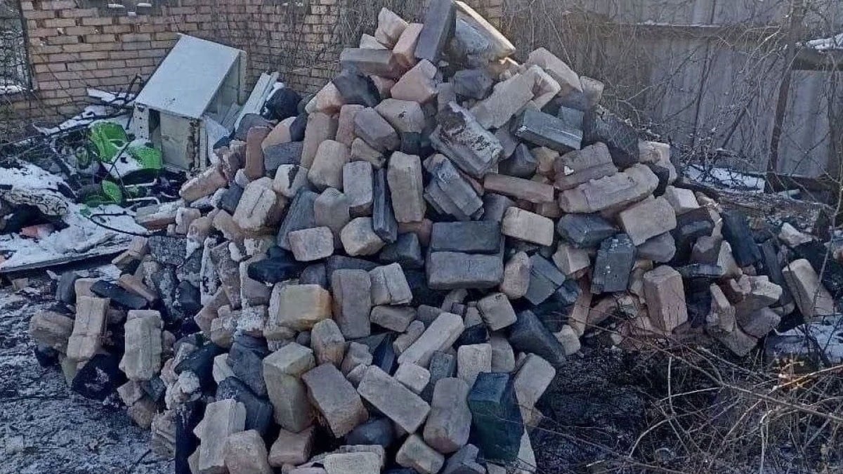 Hayatta kalmak için buldukları tüm taşları üzerlerine koyuyorlar: Bu yönteme tebrikler yağdı