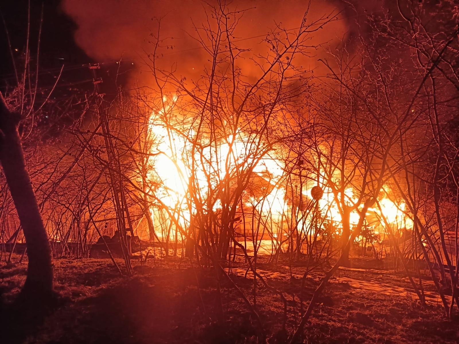Tüyler ürperten olay! Yangın sonrası ağaçta cansız bedeni bulundu