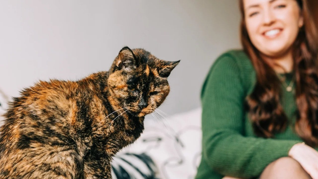 Dünyanın en yaşlı kedisi sahibi ile aynı yaşa bastı! Ortalamanın 2 katına çıktı