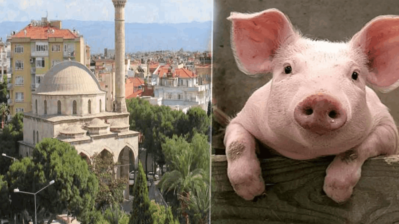 "Babamın hayrına" diyerek cami önünde 3 bin kişiye domuz eti yedirmiş!