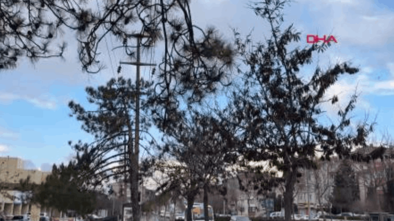 Tekirdağ'da fırtına; uçuşlar iptal edildi, balıkçılar denize açılamadı