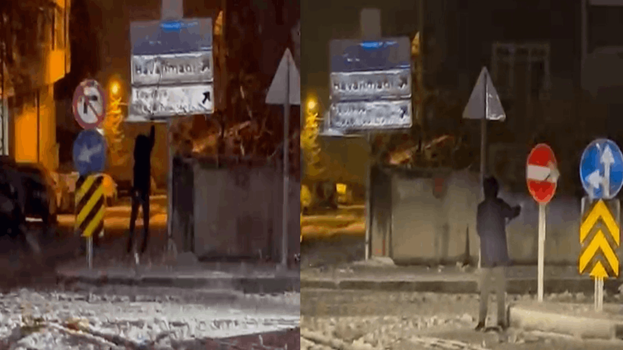 12 yaşındaki Kadir karla kaplanan trafik levhalarını temizledi