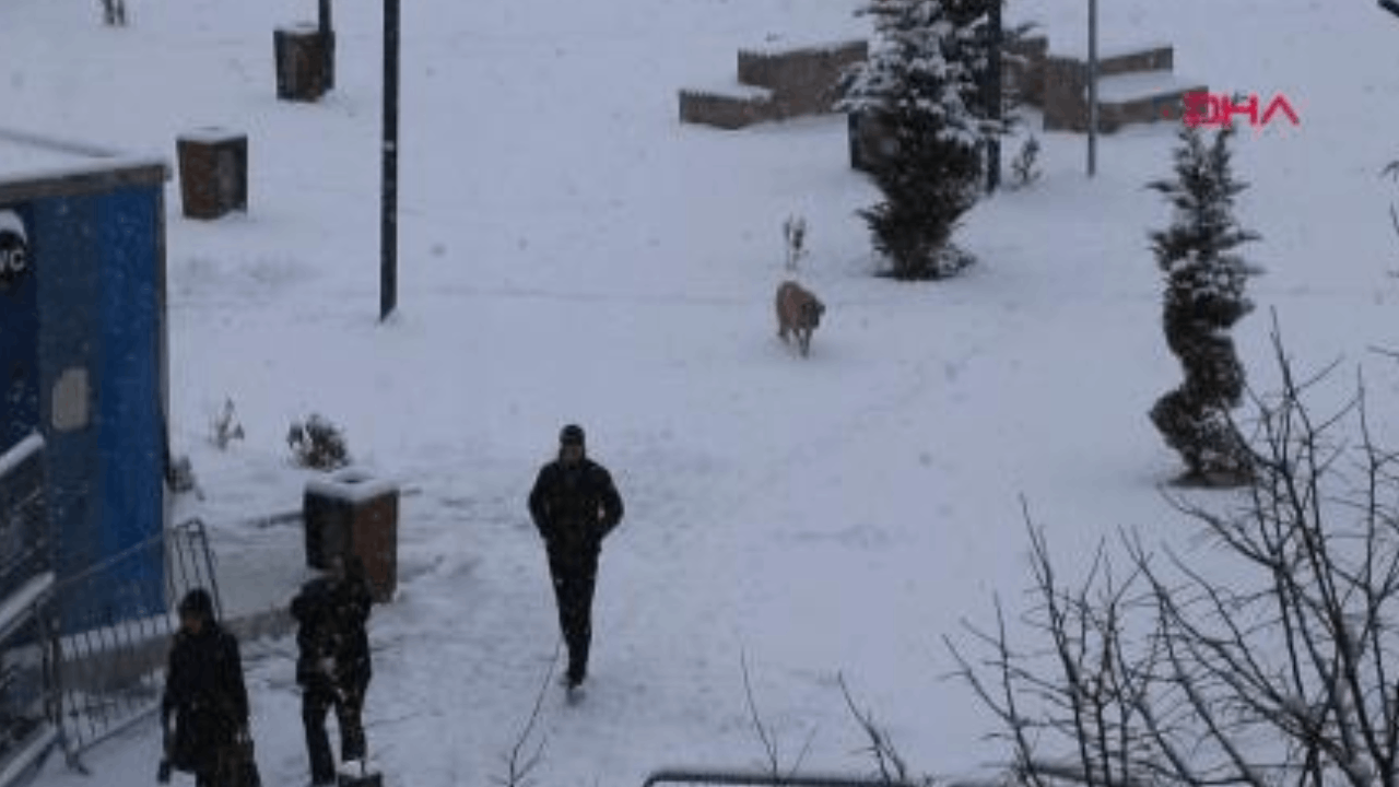 Van'da 363 yerleşim yeri ulaşıma kapandı