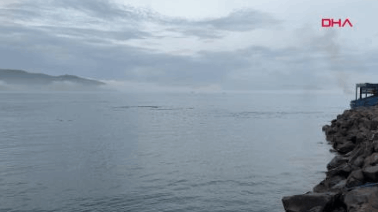 Çanakkale Boğazı, sis nedeniyle çift yönlü olarak ulaşıma kapatıldı
