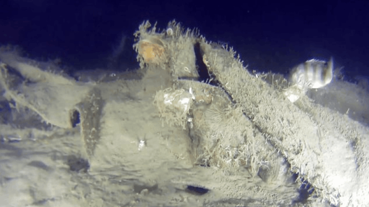 Marmara Denizi'ne düşmüştü! 50 yıl sonra bulundu