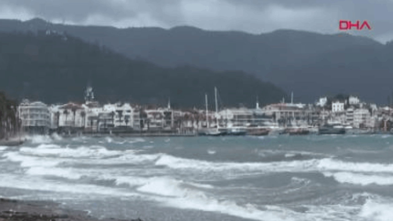 Marmaris’te fırtına kabusu: Ağaçlar devrildi