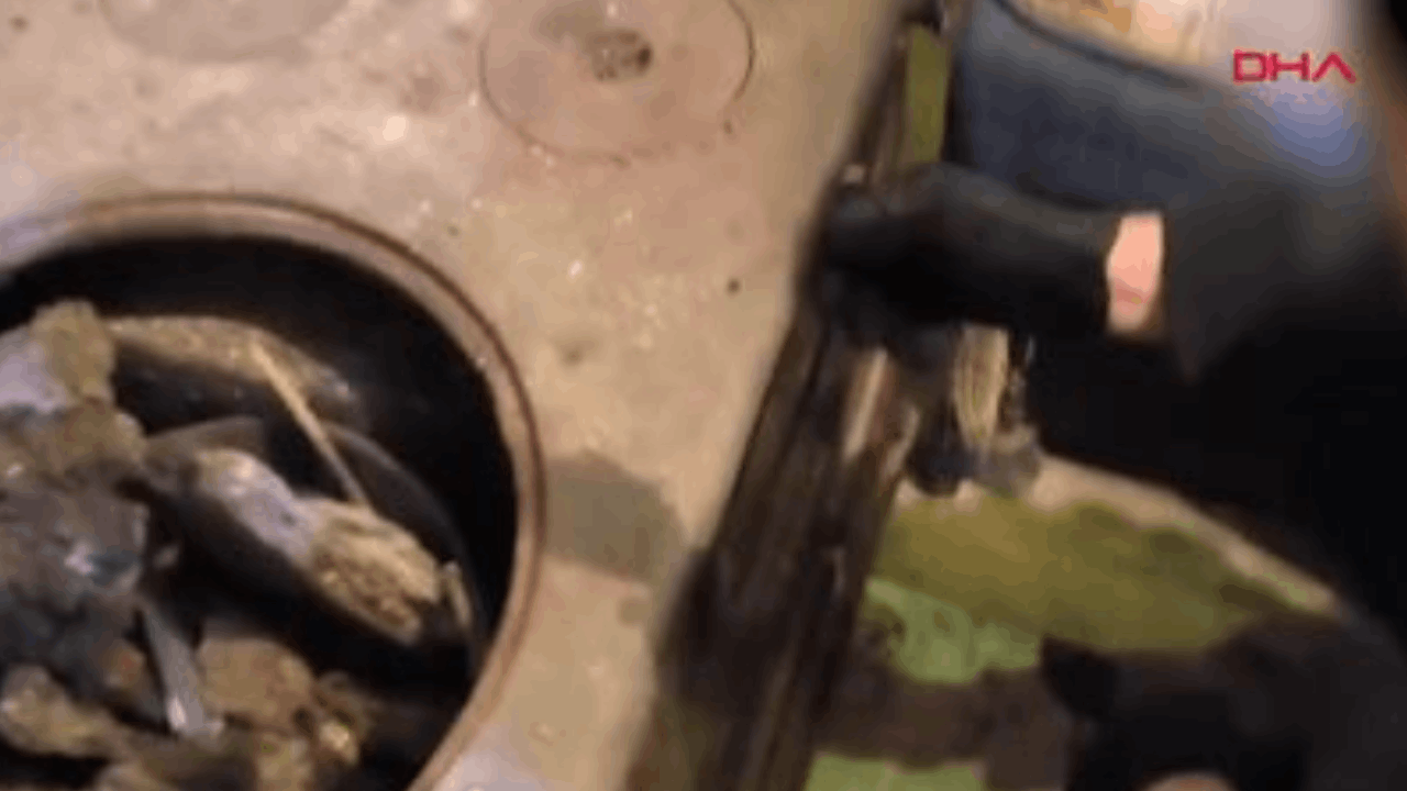 Sobanın içinde 612 sentetik hap yakalandı