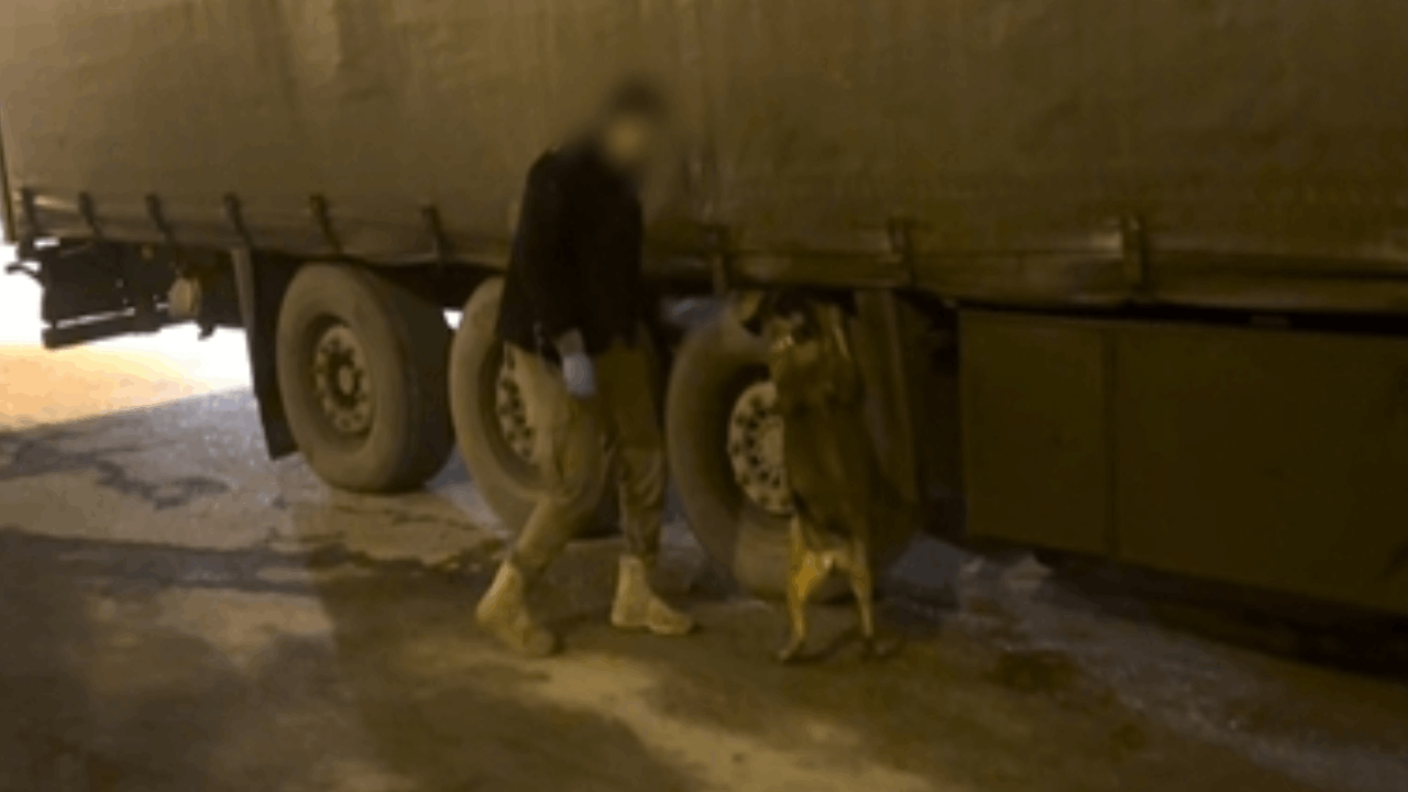 TIR'daki 51 kilo esrarı 'Mailo' yakaladı