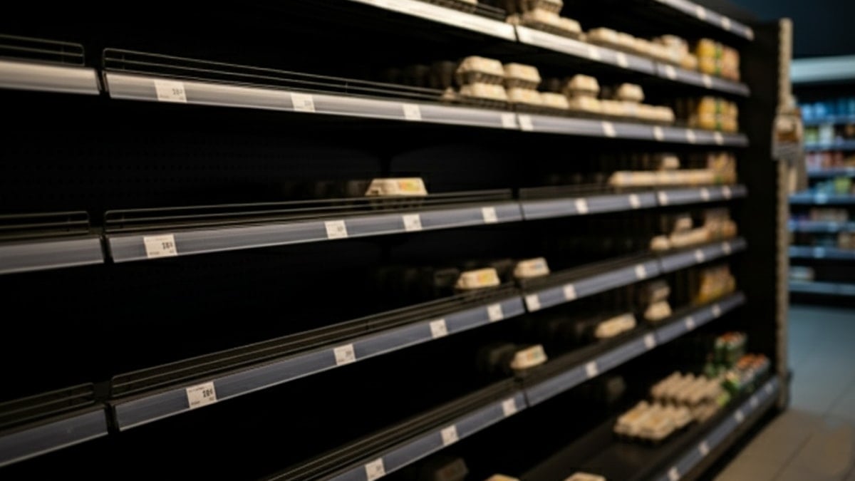 Ülkede yumurta rafları boş kaldı