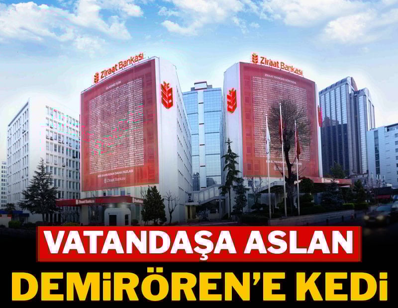 Vatandaşa aslan, Demirören’e kedi