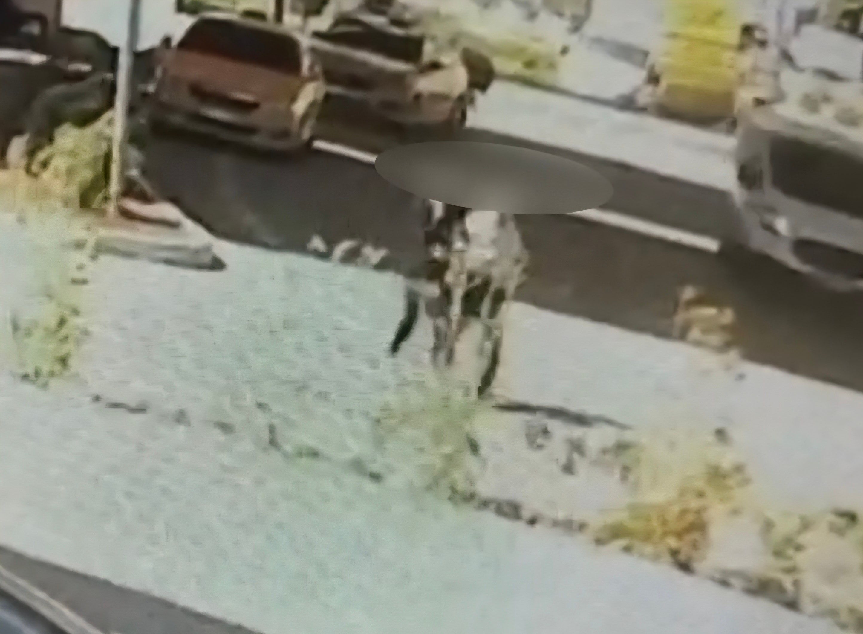 Evlilik vaadiyle altın dolandırıcılığına 4 gözaltı