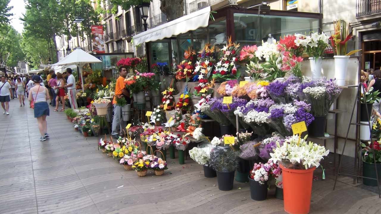 Gül ya da papatya değilmiş: 2027 yılının çiçeği belli oldu