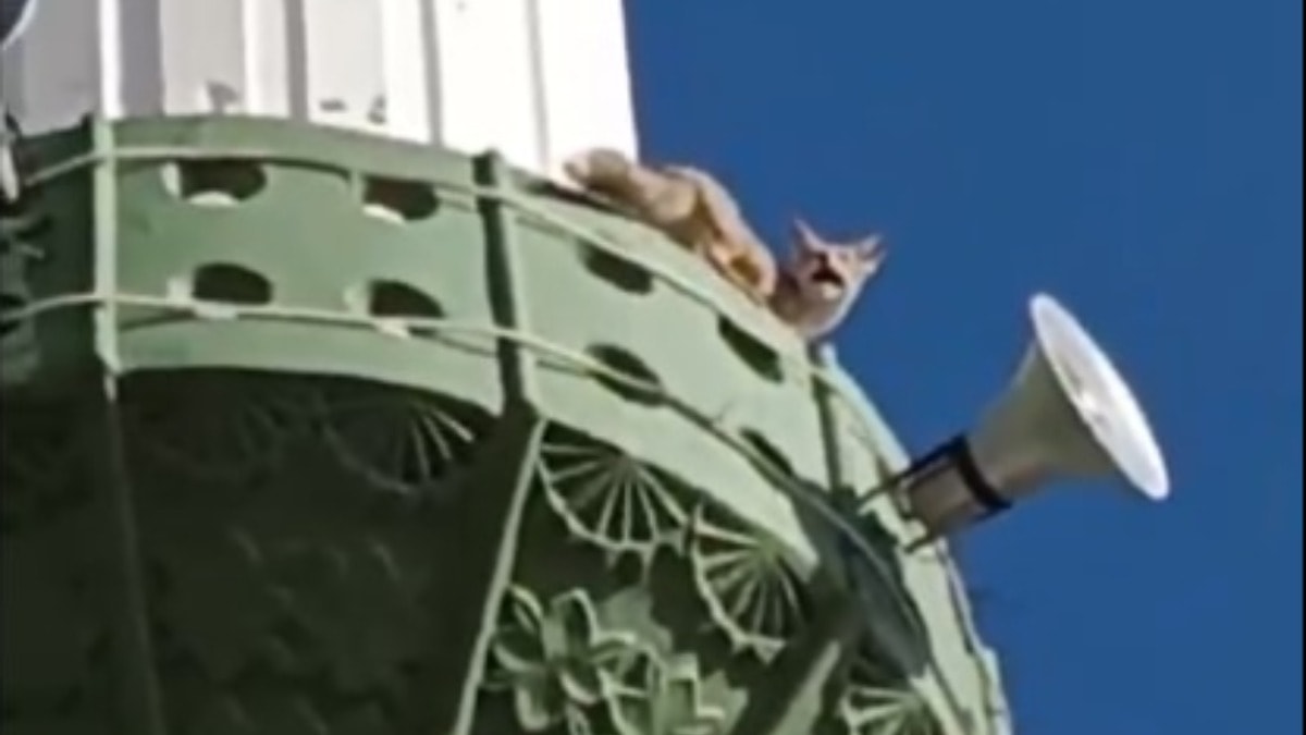 Mersin'de görenleri hayrete düşüren olay! Minareye çıktı...