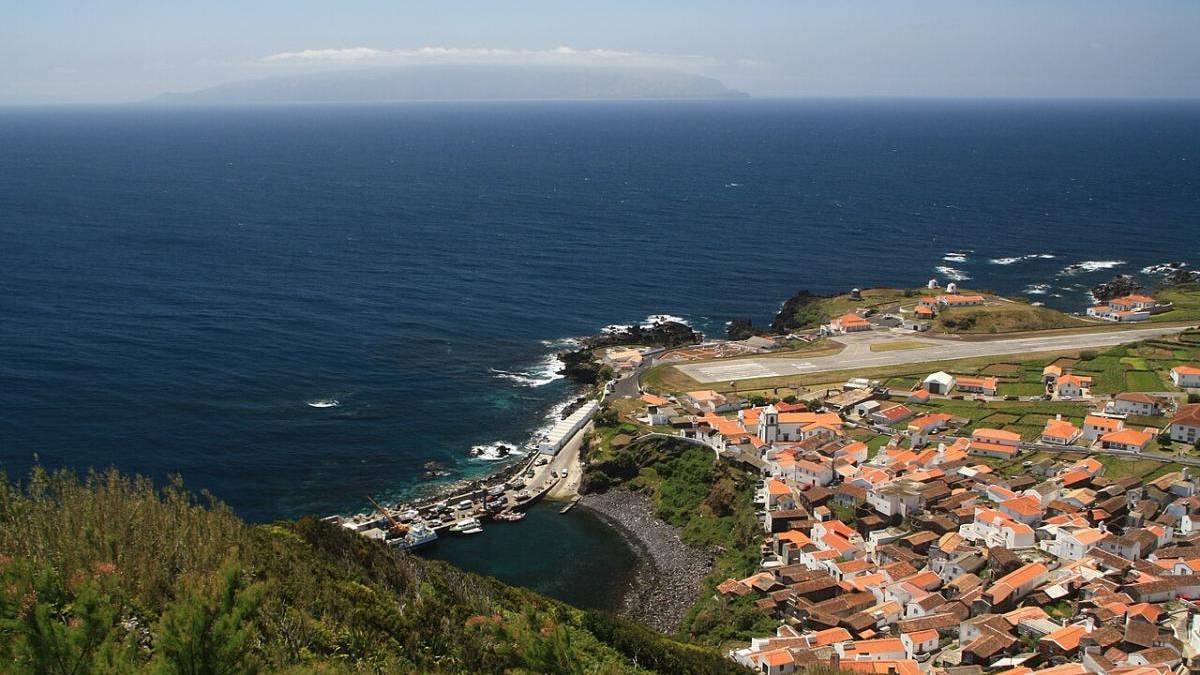 Kuşlar için koca adayı 5 gece karanlığa gömdüler