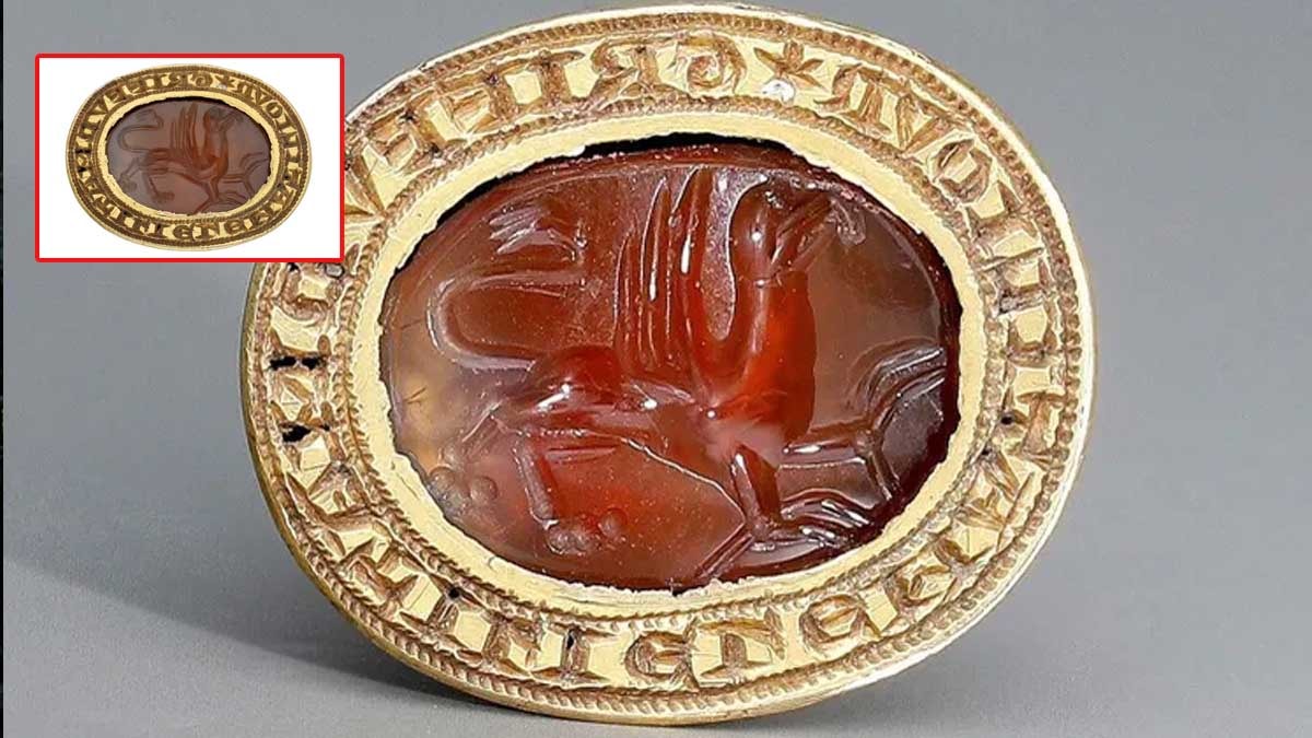 Çöpe atacakları cihazla 700 yıllık hazine buldular: Düğün borcu ödeyecekken hayatlarının şokunu yaşadılar