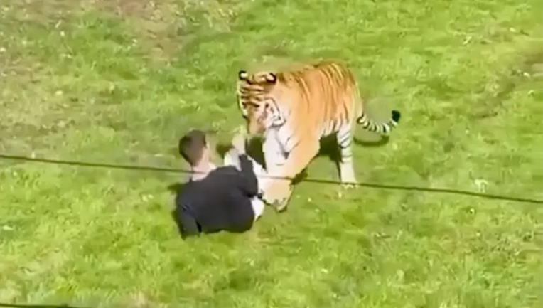 Kaplanın parçaladığı adamın son sözleri böyle duyuldu