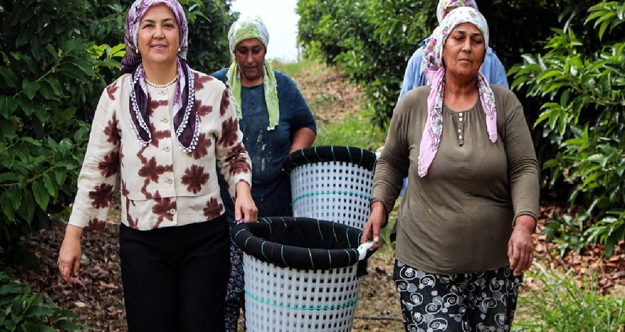 Bahçesine eken yılda 40 ton ürün hasat ediyor: Zengin meyvesi kapış kapış satılıyor
