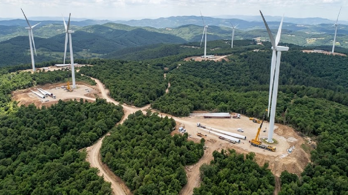 Türkiye'nin 25 milyon metrekare ormanına dev panelleri dizecekler