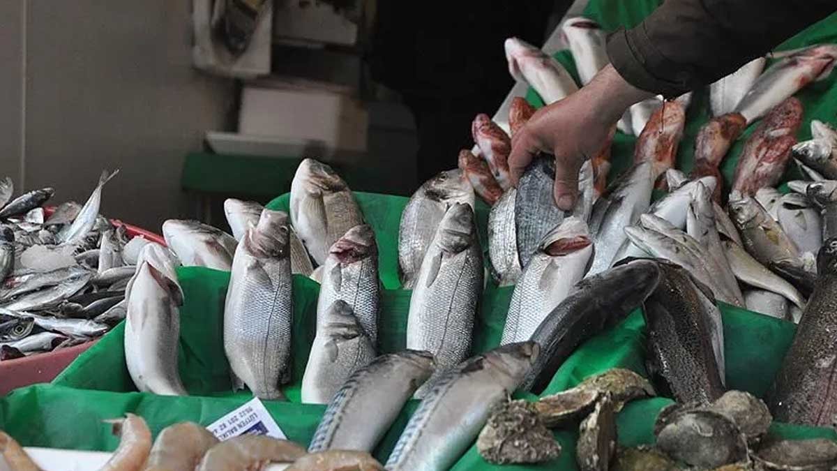 Eczanelerdeki takviyelere servet dökmeyin diye liste yapmışlar: En çok Omega-3 bu 2 balıkta varmış