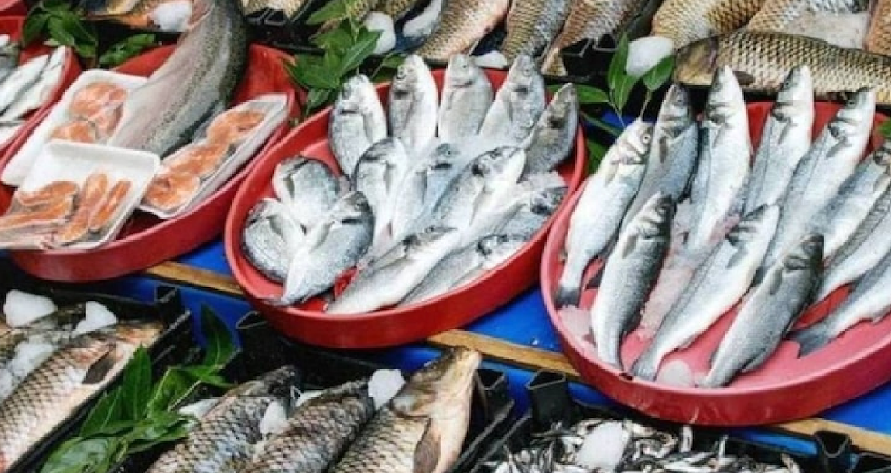 Kasım ayında yenilecek balıklar