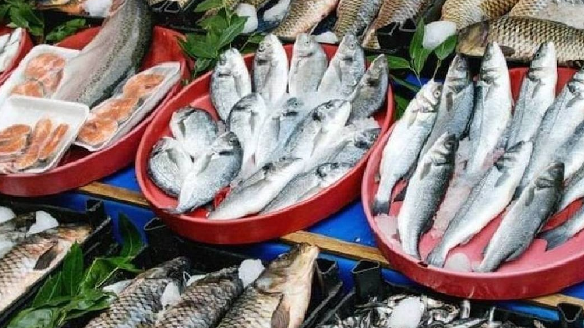 60 yaş üstü için sofradan eksik edilmemesi gereken 3 balık