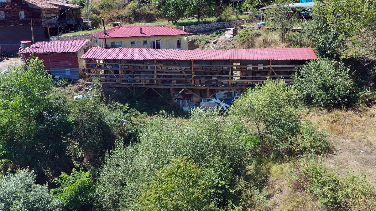 Herkes köyü terk etti o gitmedi: Yılda 600 tonla servet kazanıyor