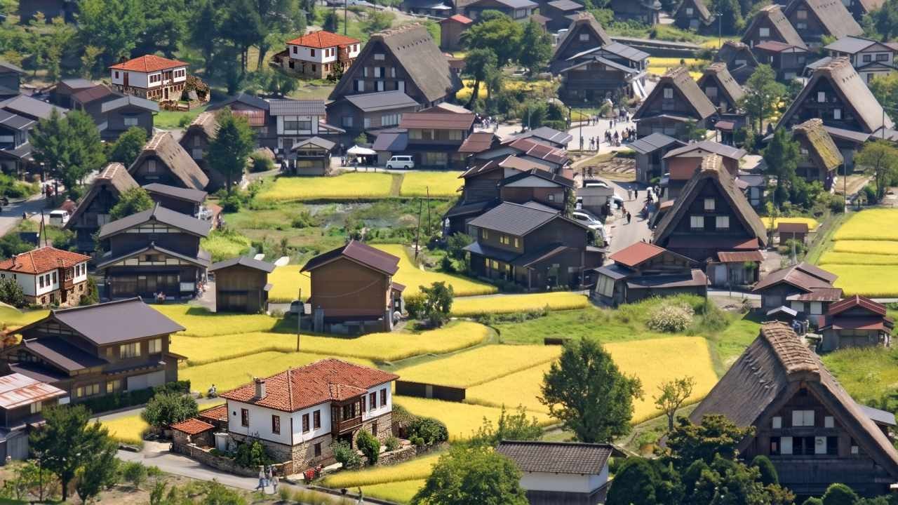 Buraya taşınanlara bedava ev verilecek
