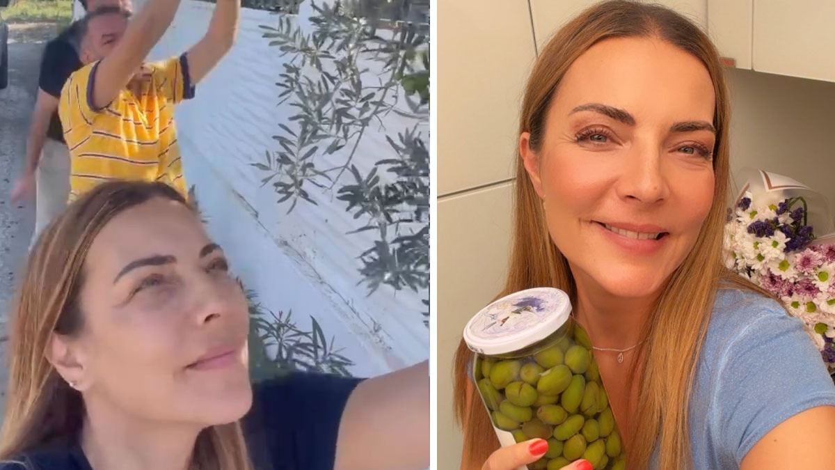 Burcu Kara köyünde zeytin hasadına başladı: Evde kendi kırma zeytinini yaptı