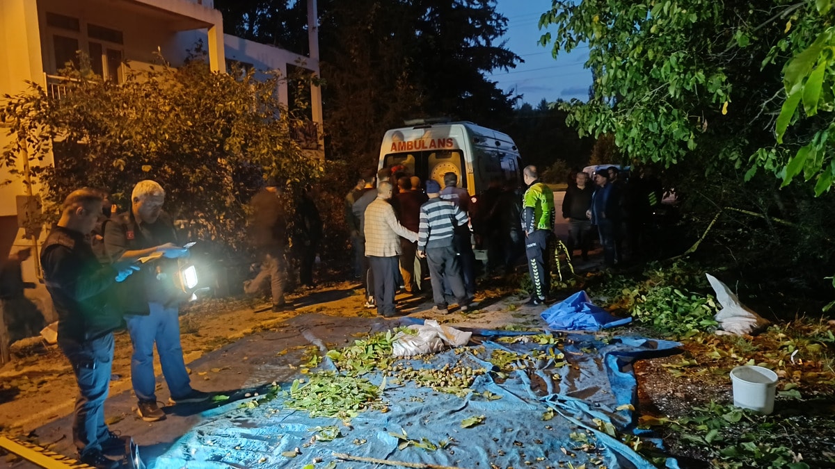 Ceviz toplamak için çıktığı ağaçtan düşüp can verdi