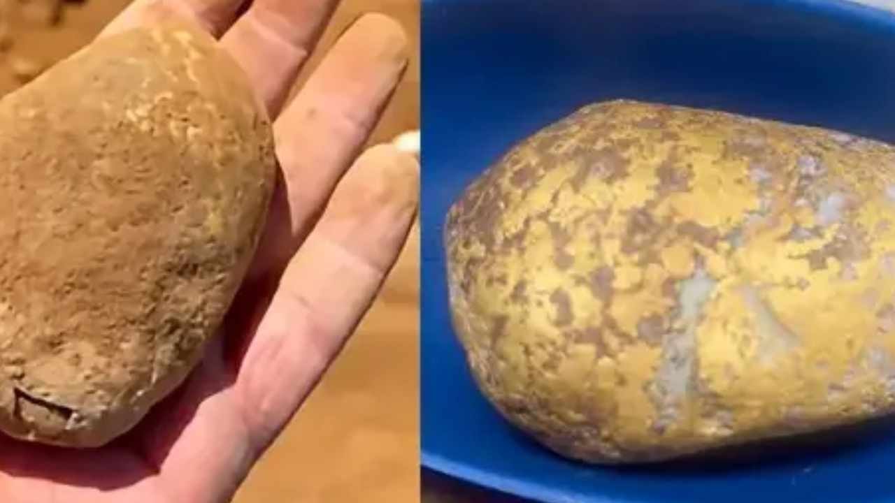 Çürük patates sandı servet çıktı: Değeri tam 10 milyon lira