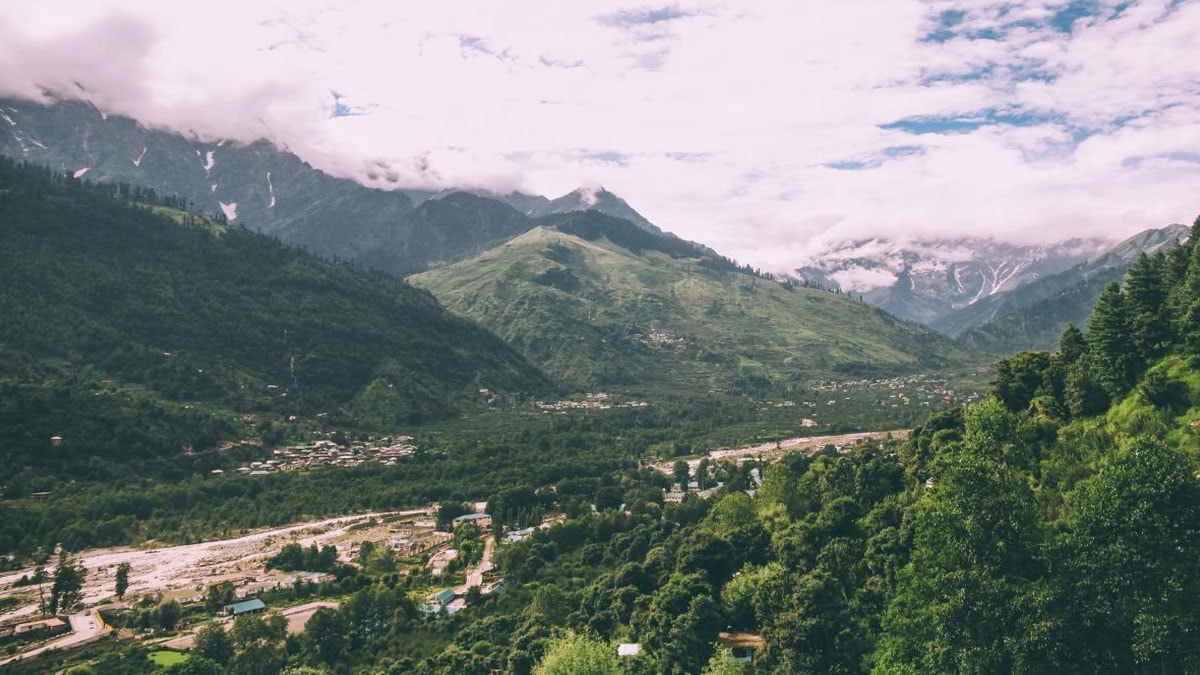 Dağın tepesinde nadir bir hazineye rastladı:  Gramı altından pahalı
