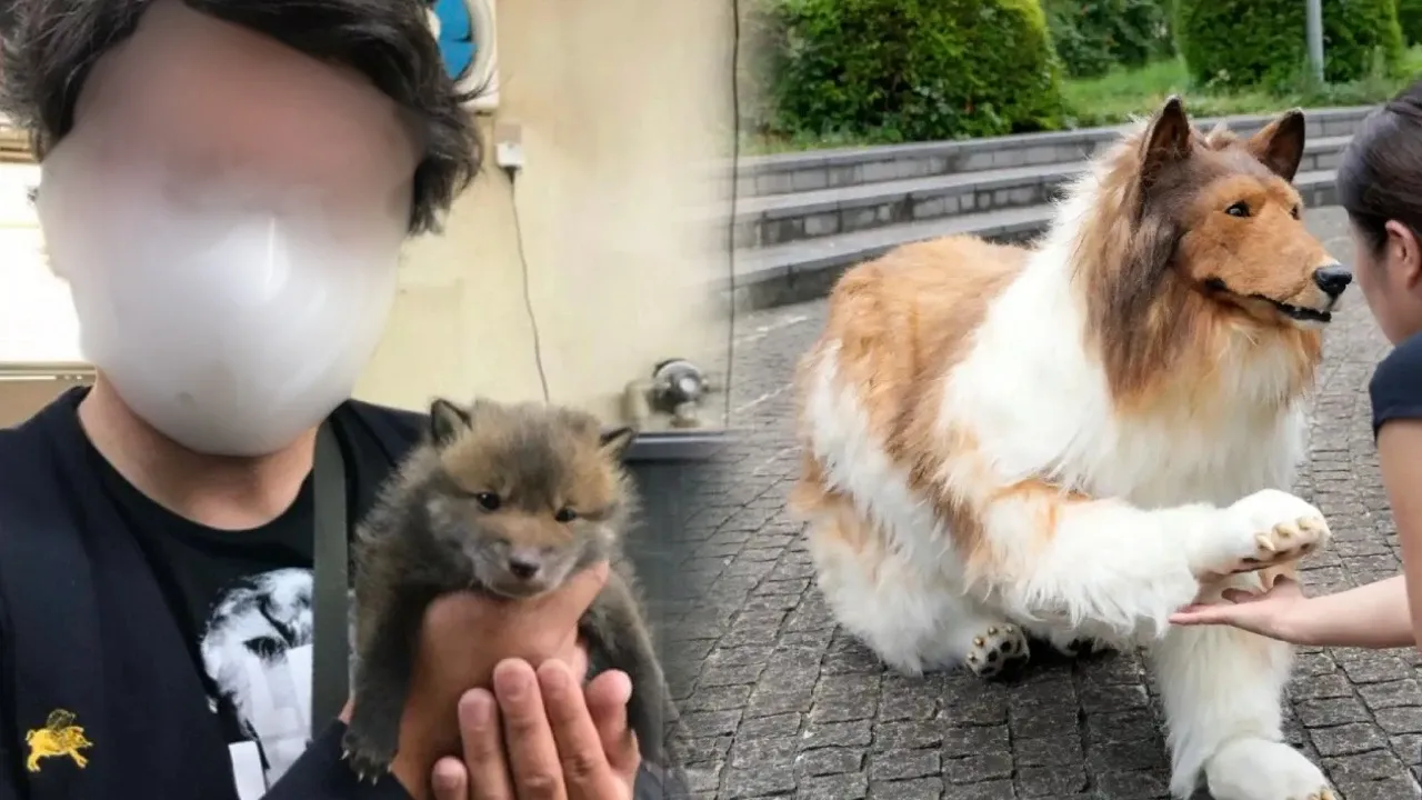 Köpek olmak için servet harcamıştı: Yüzünü ilk kez gösterdi