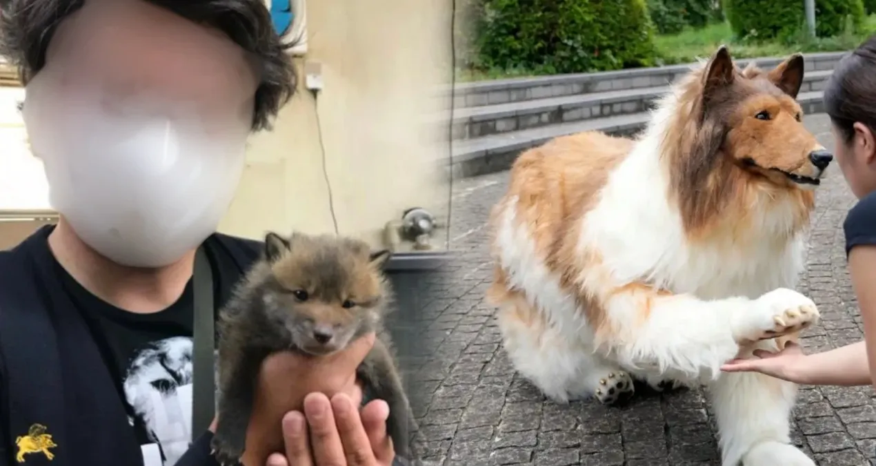 Köpek olmak için servet harcamıştı: Yüzünü ilk kez gösterdi