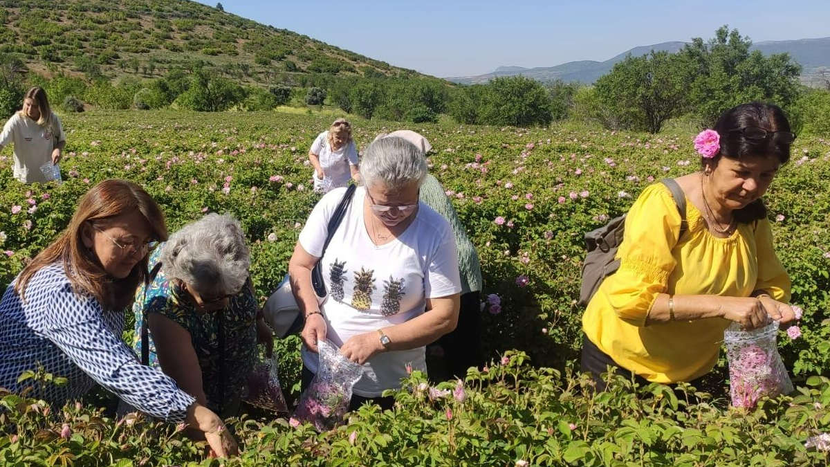 Daha önce 80 liraydı 95 liraya yükseldi: Üreticiye ek ödeme yapılacak