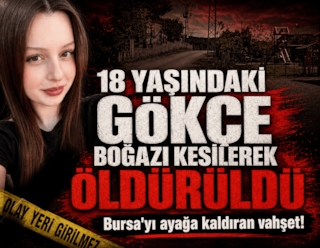 Ormanda kadın cinayeti: 18 yaşındaki Gökçe’nin boğazını kesti