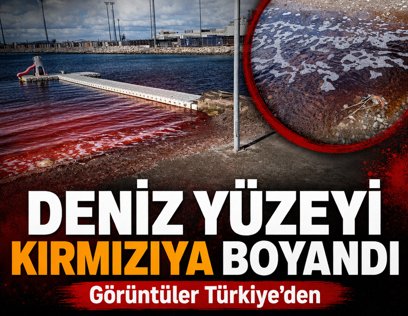 Görüntüler Türkiye'den: Deniz yüzeyi kırmızıya boyandı