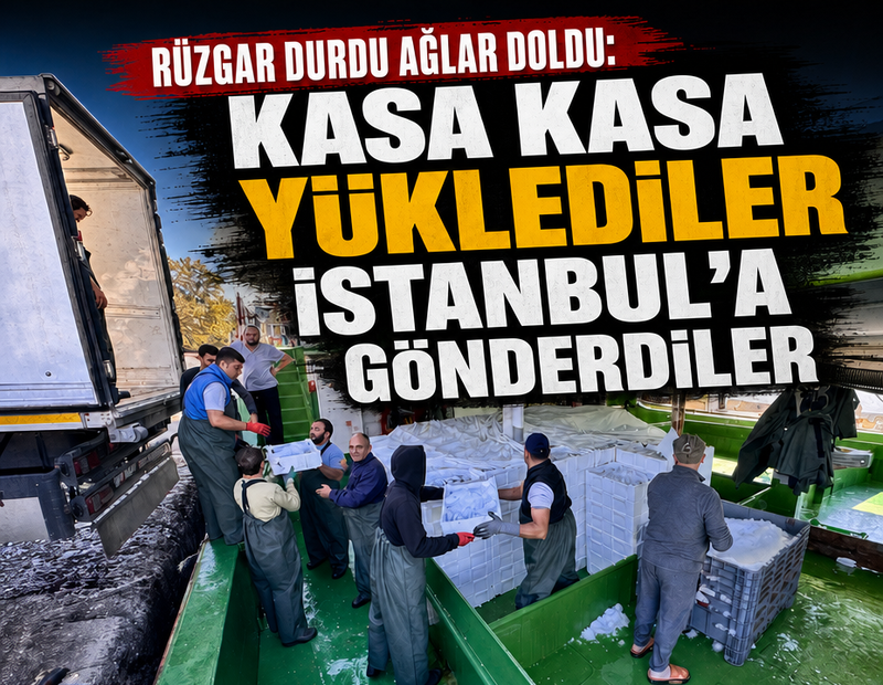 Rüzgar durdu ağlar doldu: Kasa kasa yüklediler İstanbul'a gönderdiler!